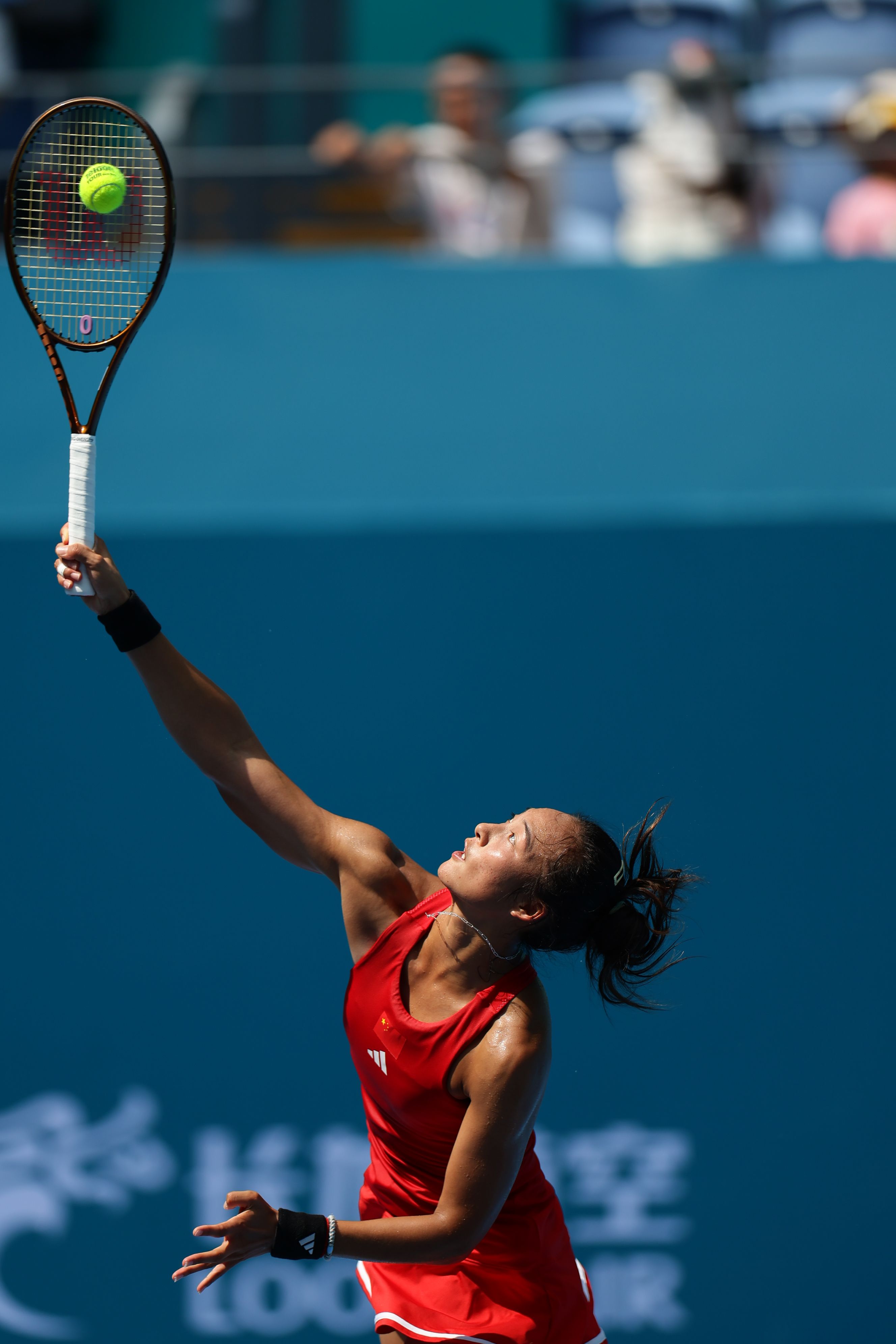 贝弗利总能 贝弗利总能