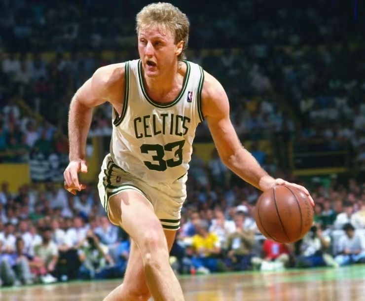 建了坚固的 建了坚固的